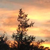 Review photo of D.H. Day Campground — Sleeping Bear Dunes National Lakeshore by Kathie M., June 19, 2020