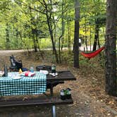 Review photo of D.H. Day Campground — Sleeping Bear Dunes National Lakeshore by Kathie M., June 19, 2020