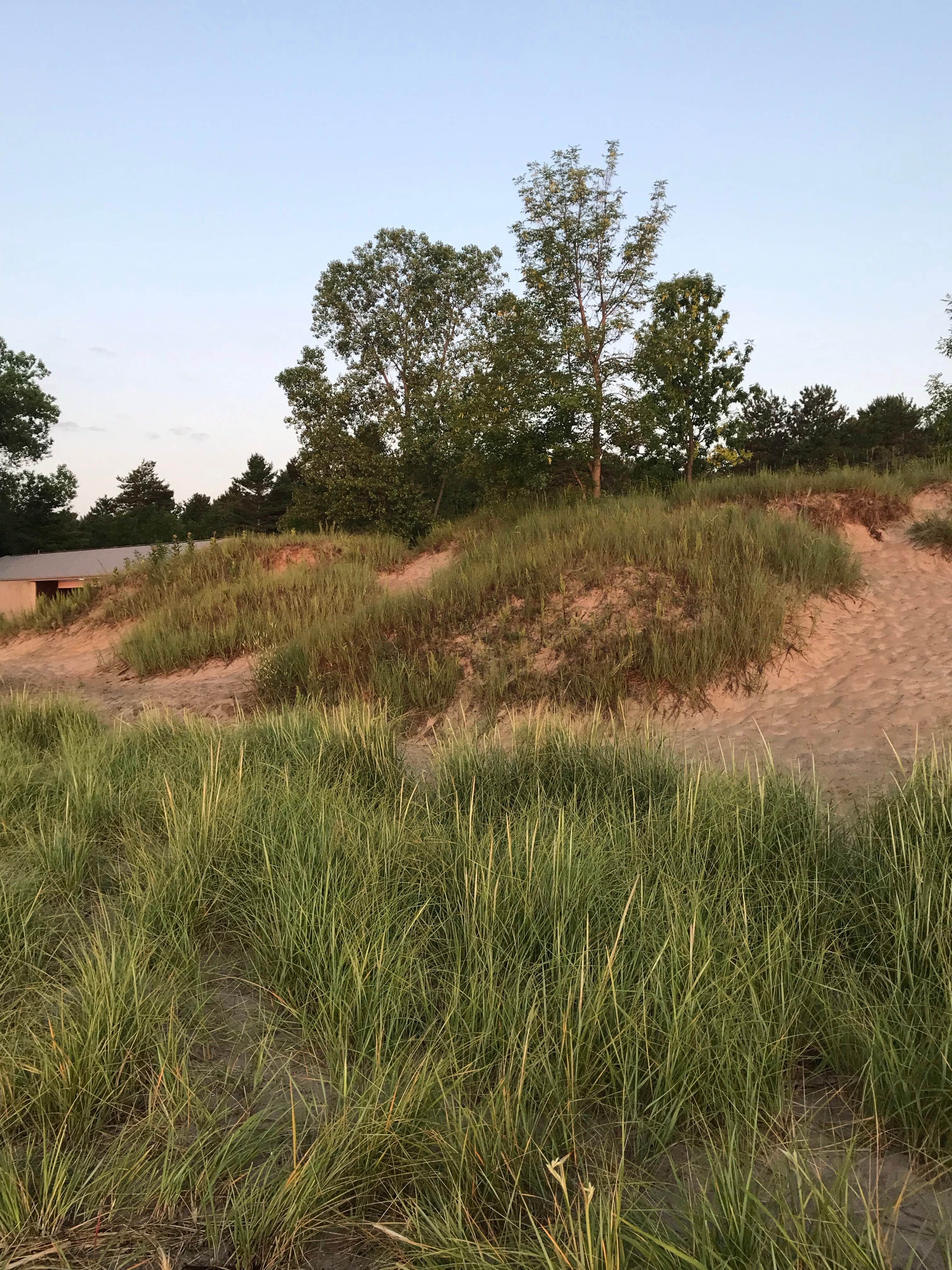 Camper-submitted photo at Kohler-Andrae State Park near Malone, WI