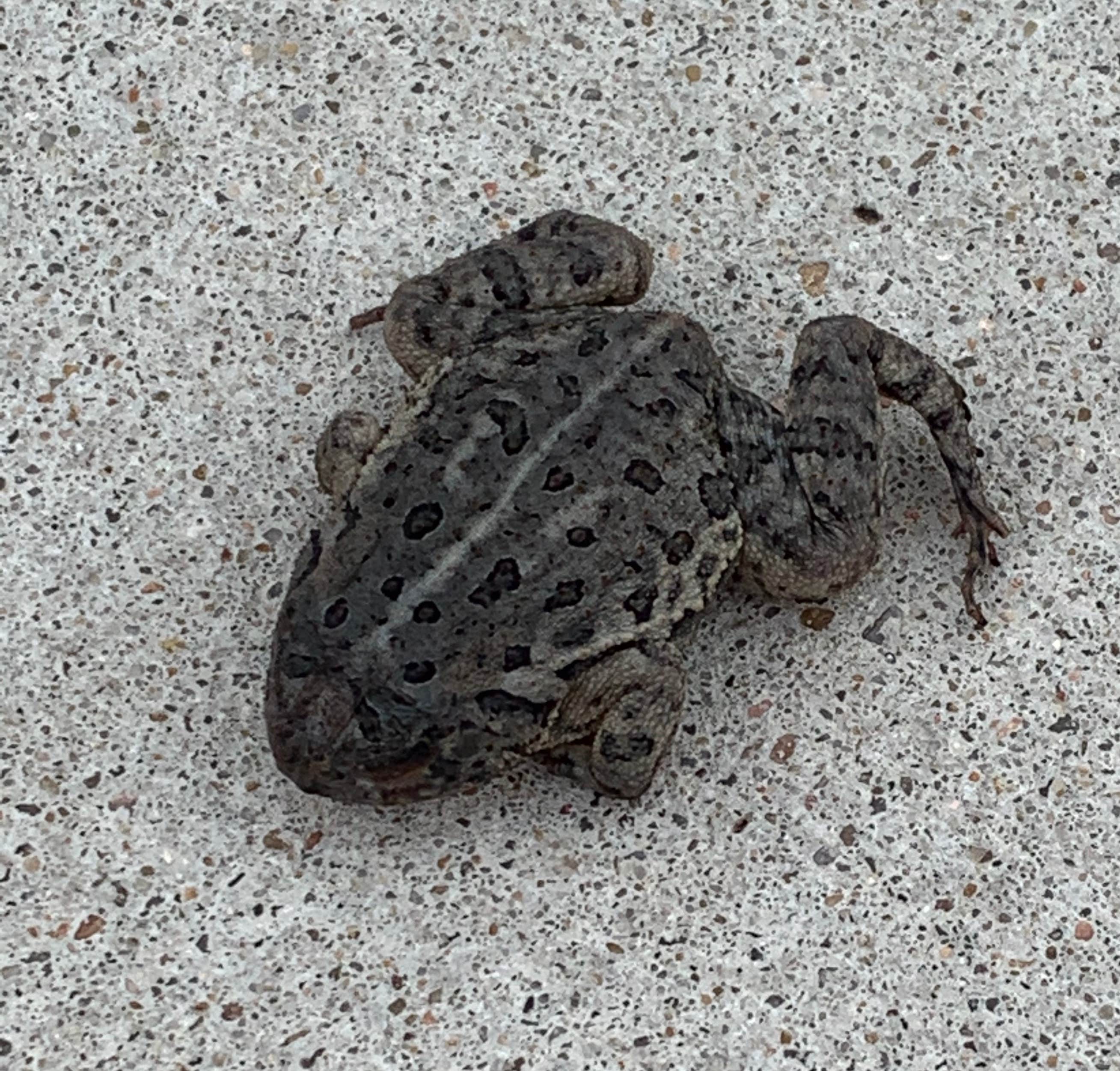Camping near Willard L. Meyer Rec Area: Legion Memorial Park, Martell, Nebraska