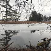 Review photo of Cedar Campground — Ludington State Park by Kathie M., June 20, 2020