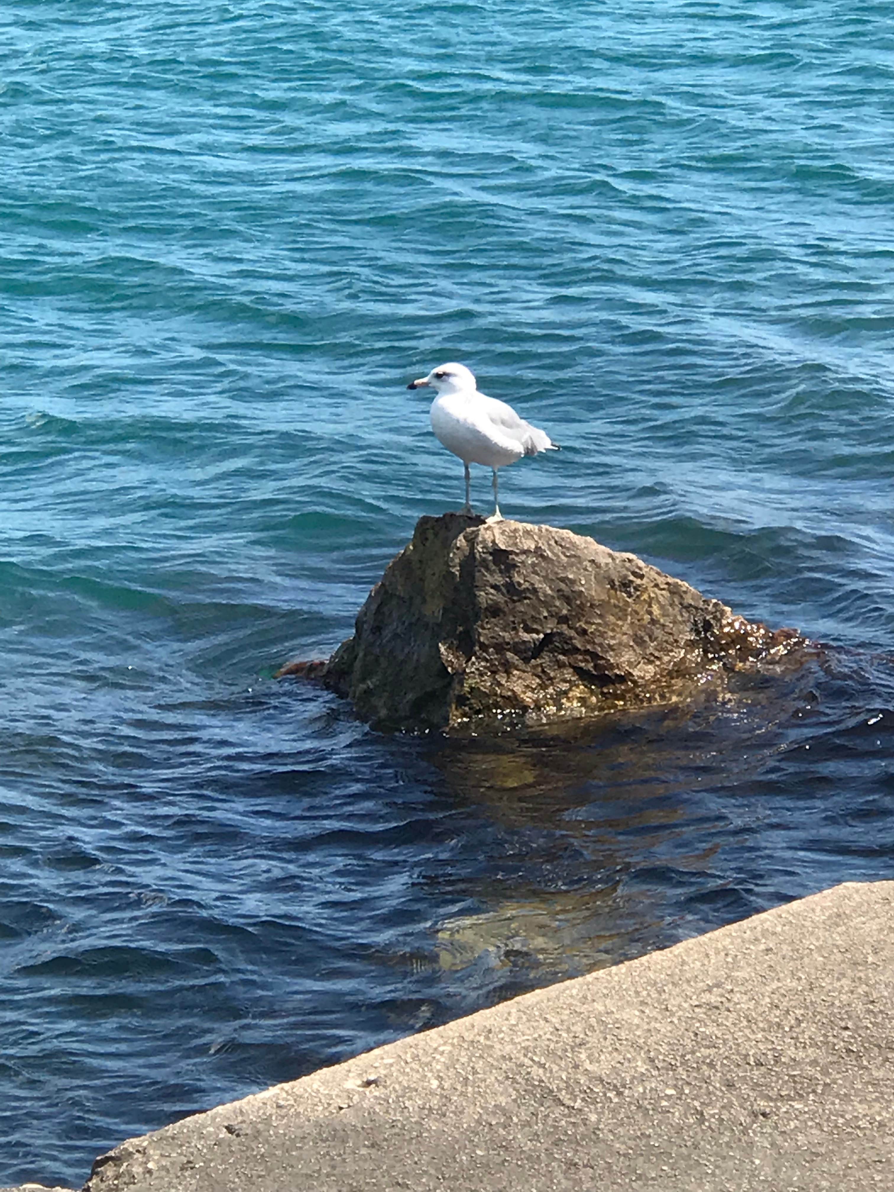 Camper-submitted photo at Kohler-Andrae State Park near Malone, WI