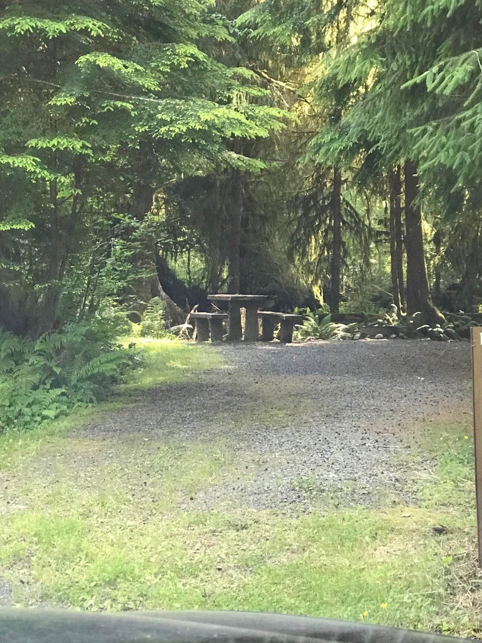 Camper submitted image from North Fork Campground - Olympic National Park - 2