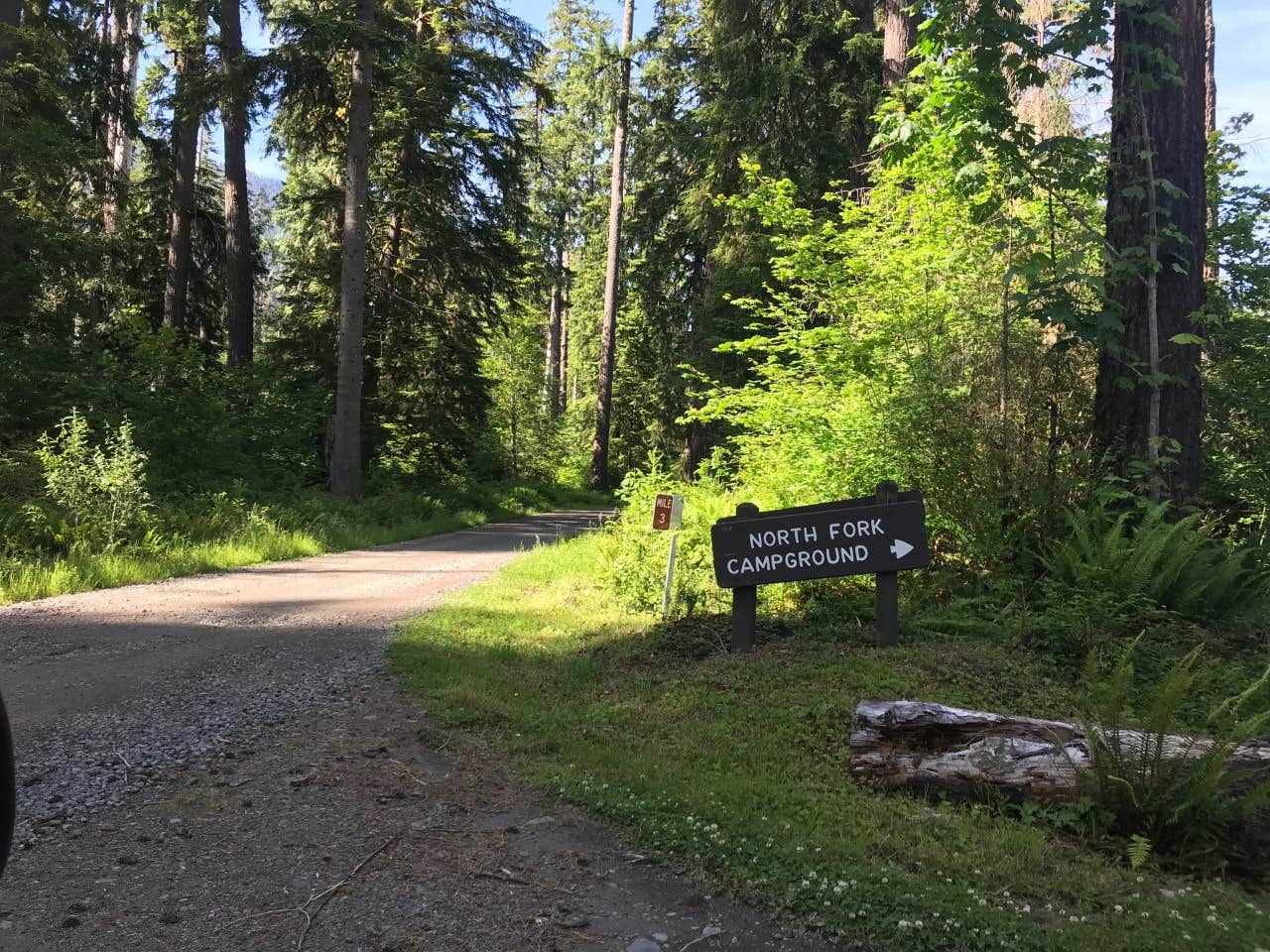 Camper submitted image from North Fork Campground — Olympic National Park - 2