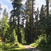 Review photo of North Fork Campground - Olympic National Park by Zach A., June 20, 2020