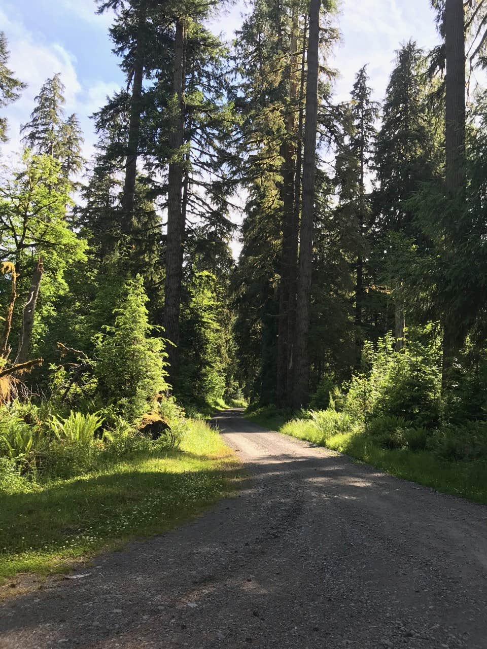 Camper submitted image from North Fork Campground - Olympic National Park - 3