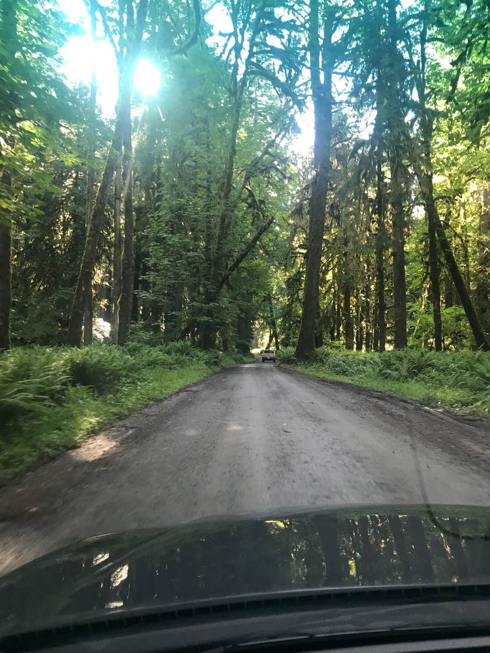 Camper-submitted photo at North Fork Campground — Olympic National Park near Quinault, WA