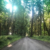 Review photo of North Fork Campground — Olympic National Park by Zach A., June 20, 2020