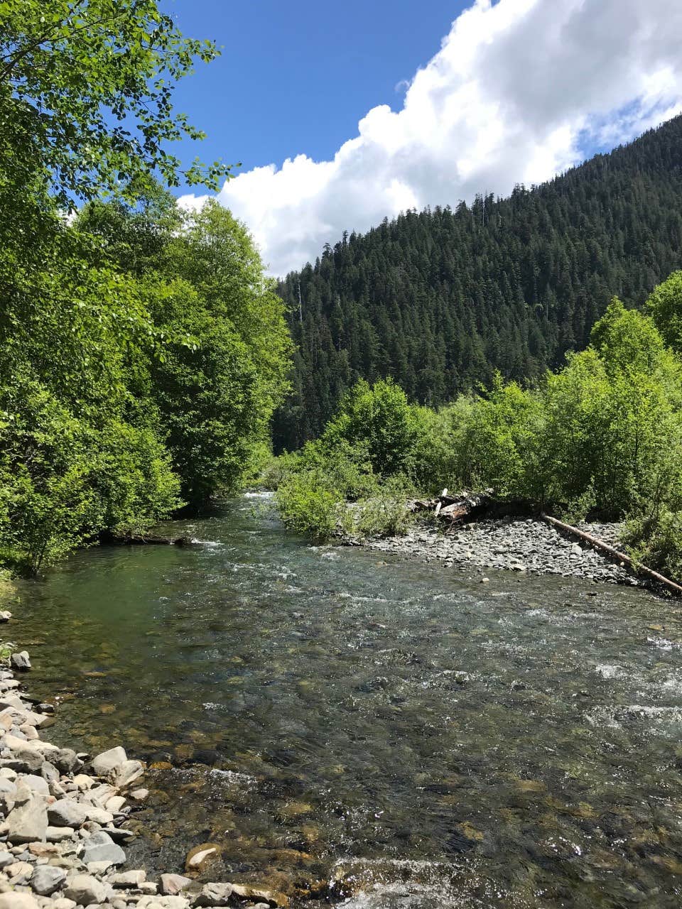 Camper submitted image from North Fork Campground - Olympic National Park - 5