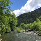 Review photo of North Fork Campground — Olympic National Park by Zach A., June 20, 2020
