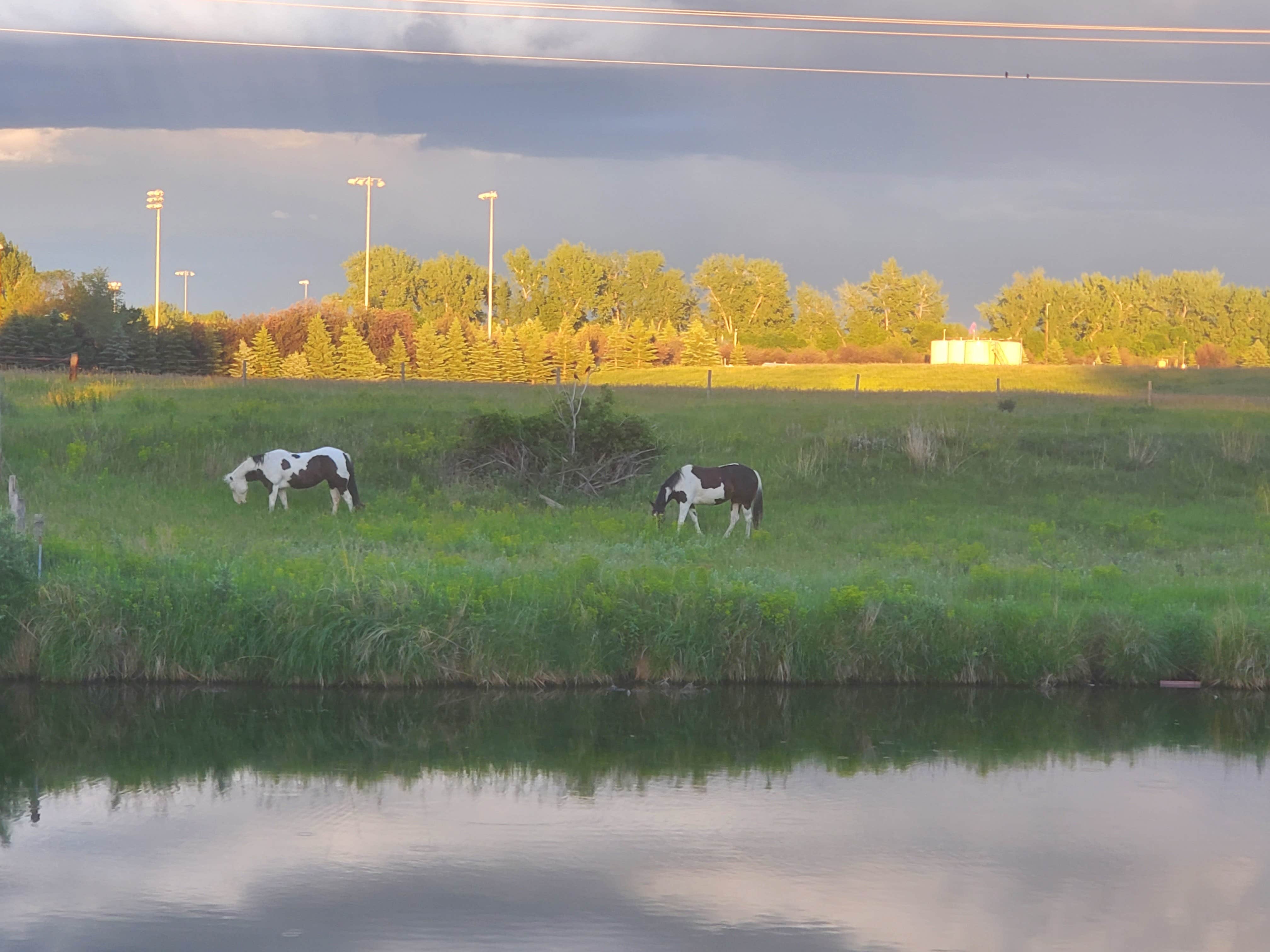 Camper-submitted photo at Camp On The Heart near Dickinson, ND
