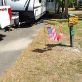 Review photo of South Toledo Bend State Park Campground by Cat R., June 20, 2020