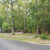 Review photo of South Toledo Bend State Park Campground by Cat R., June 20, 2020