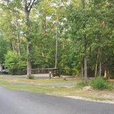 Review photo of South Toledo Bend State Park Campground by Cat R., June 20, 2020