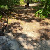 Review photo of South Toledo Bend State Park Campground by Cat R., June 20, 2020