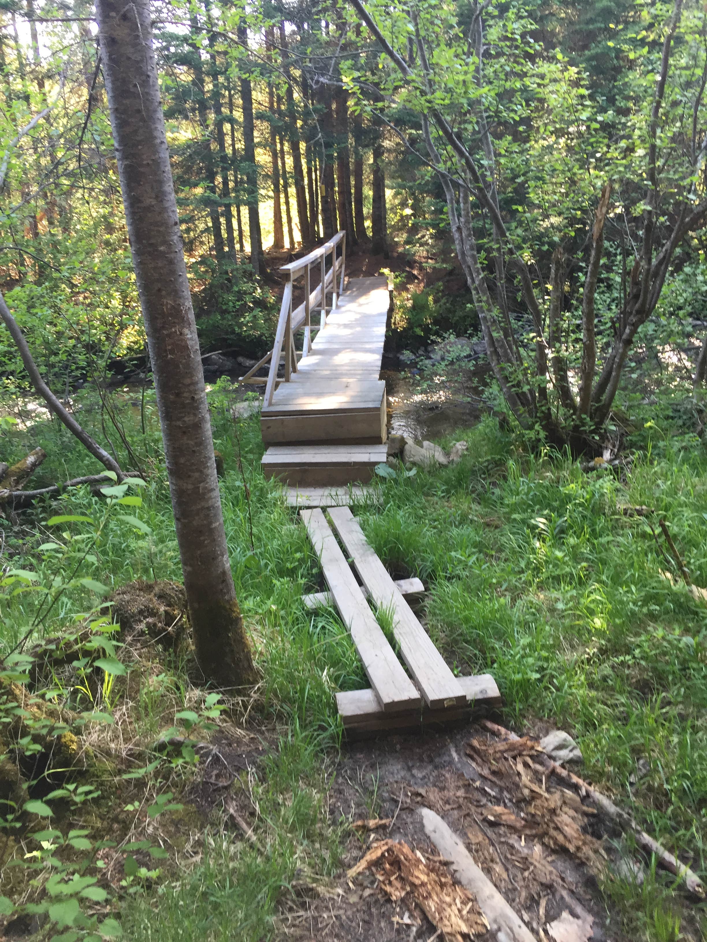 Camper submitted image from Granville State Forest - 3
