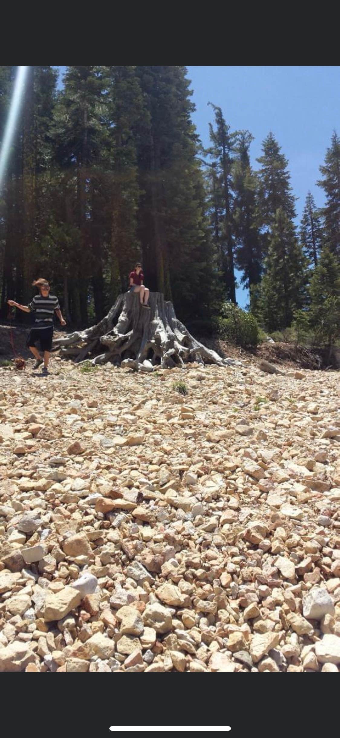 Camper-submitted photo at French Meadows near Lake Tahoe Basin Management Unit