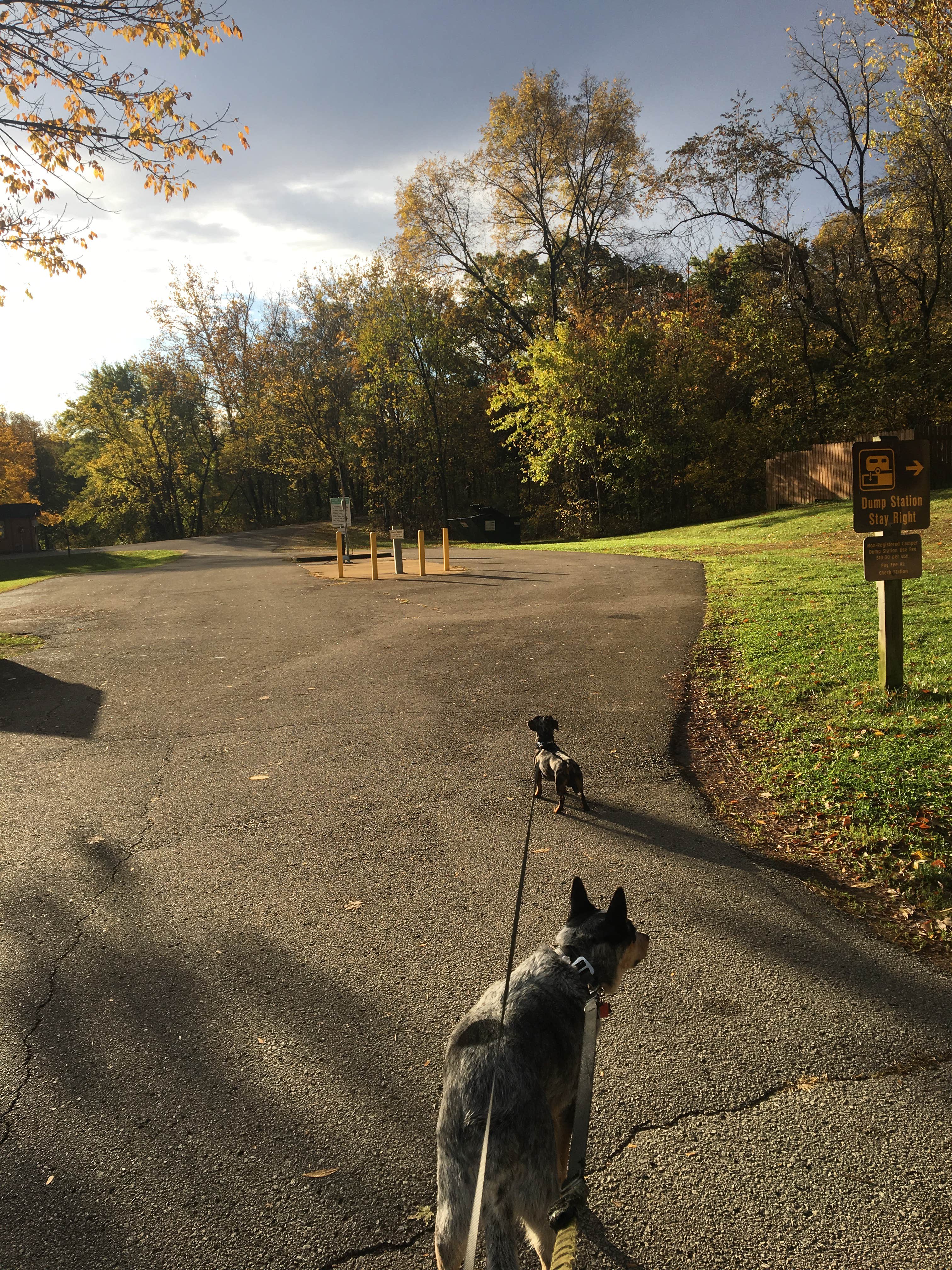 Shelly S.'s photo of camping with pets at Onondaga Cave State Park Campground near Stanton, MO