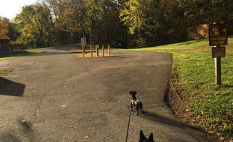Shelly S.'s photo of camping with pets at Onondaga Cave State Park Campground near Wappapello Lake