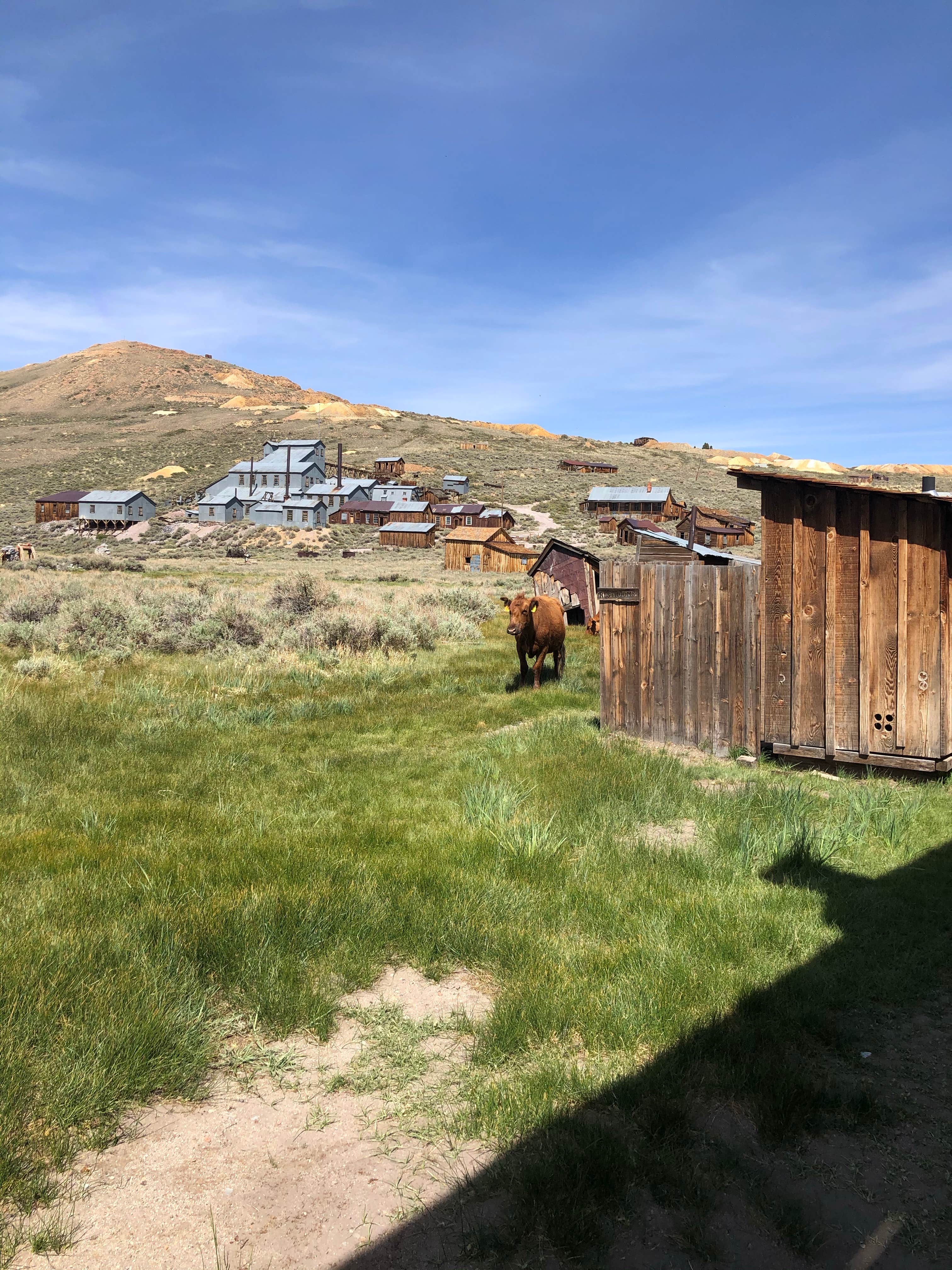 Camper-submitted photo at Bridgeport Travertine Hot Springs Dispersed near Mather, CA