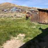 Review photo of Bridgeport Travertine Hot Springs Dispersed by Cassidy Y., June 20, 2020