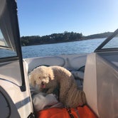 Review photo of Folsom Lake  by Cassidy Y., June 20, 2020