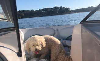 Cassidy Y.'s photo of camping with pets at Peninsula Campground — Folsom Lake State Recreation Area near Georgetown, CA