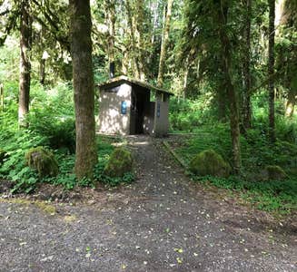 Camper-submitted photo from Hoh Campground — Olympic National Park