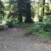 Review photo of Hoh Oxbow Campground by Zach A., June 20, 2020