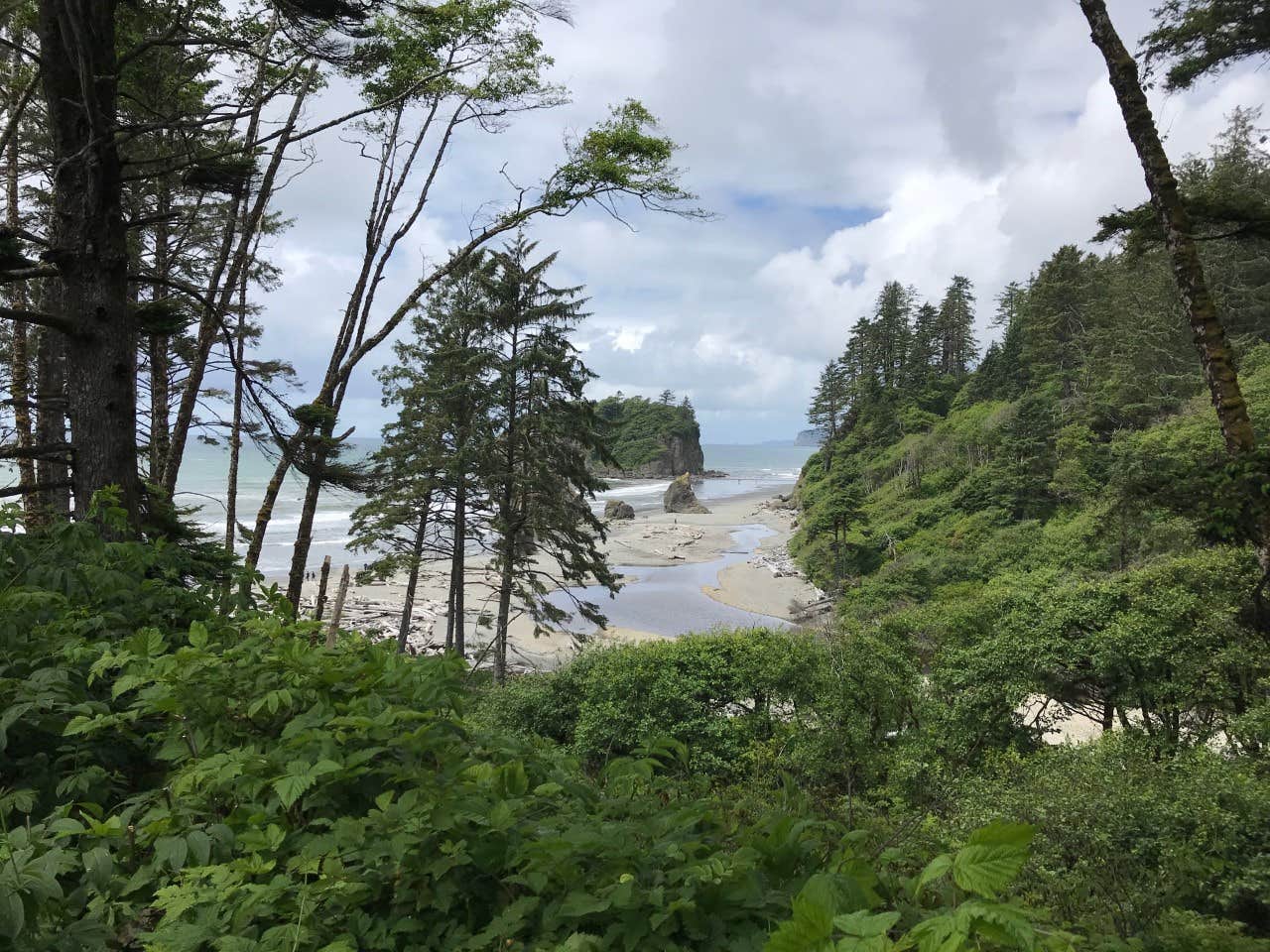 Camper-submitted photo at Hoh Oxbow Campground near Sekiu, WA