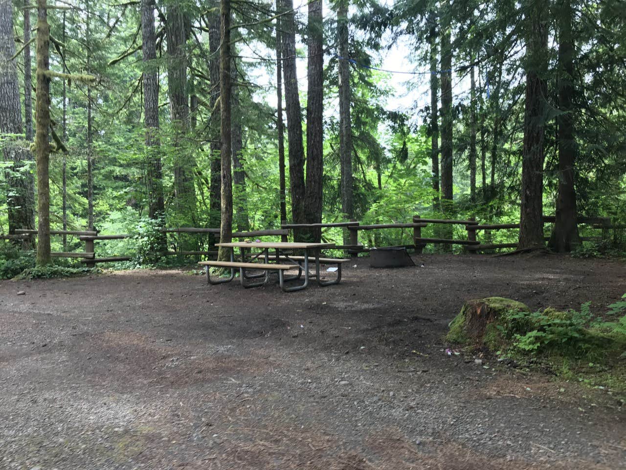 Camper submitted image from Bear Creek Campground - 3
