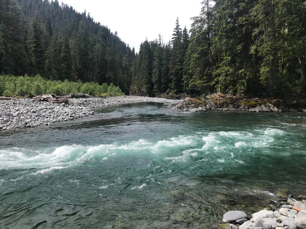 Camper submitted image from Wolf Bar — Olympic National Park - 3