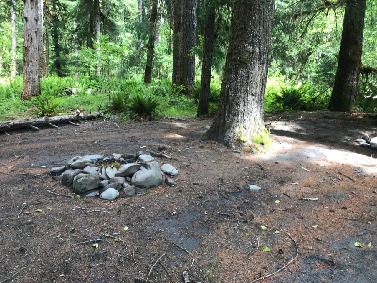 Camper-submitted photo at Wolf Bar — Olympic National Park near Olympic National Forest