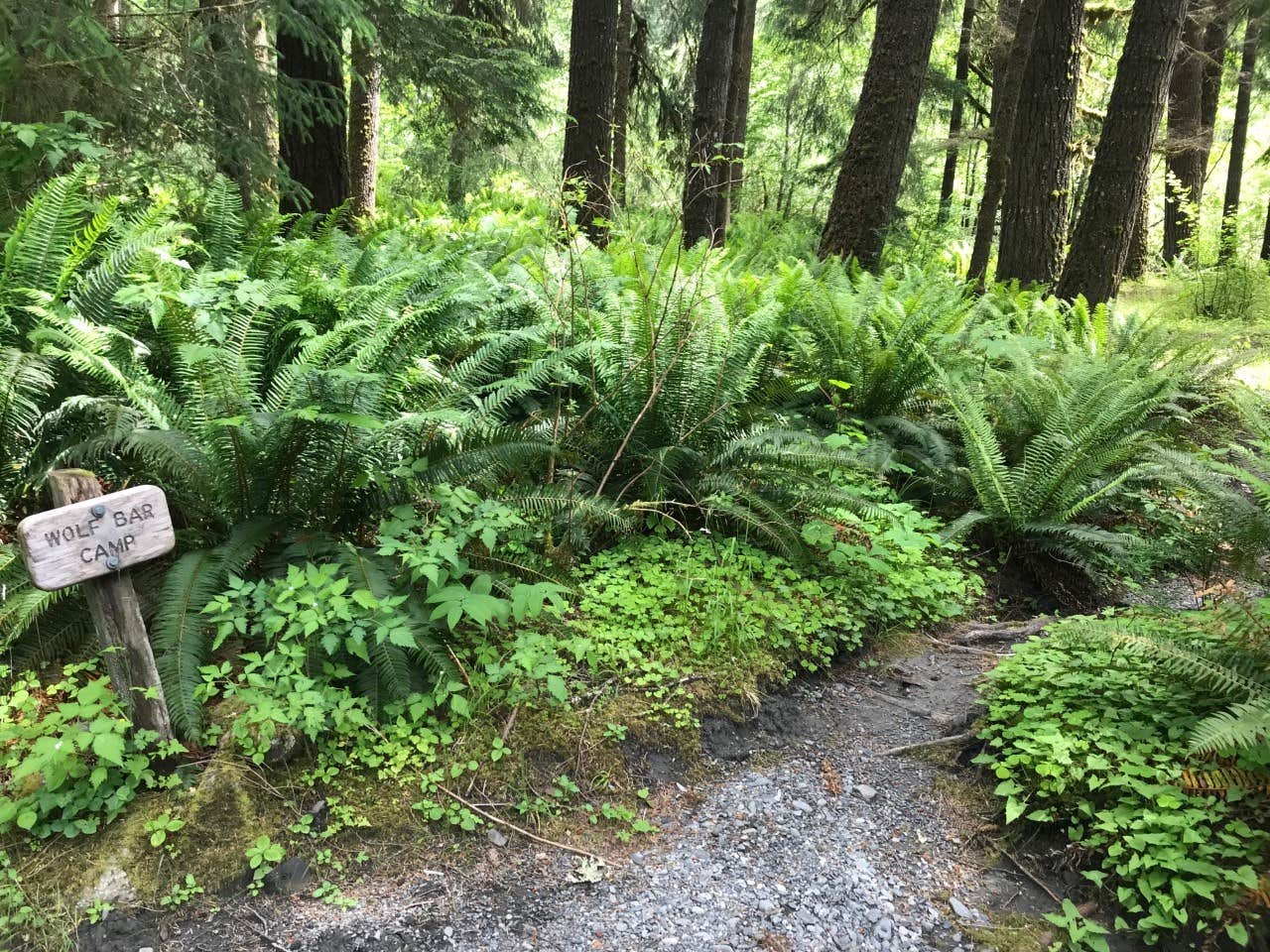 Camper-submitted photo at Wolf Bar — Olympic National Park near Olympic National Forest