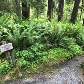 Review photo of Wolf Bar — Olympic National Park by Zach A., June 20, 2020