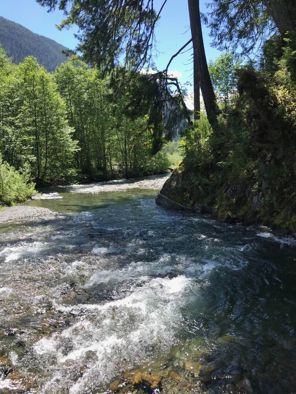 Camper-submitted photo at Wolf Bar — Olympic National Park near Olympic National Forest