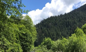 Camping near Falls Creek Campground: Wolf Bar — Olympic National Park, Olympic National Forest, Washington
