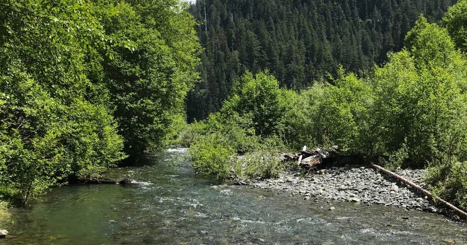 Wolf Bar — Olympic National Park