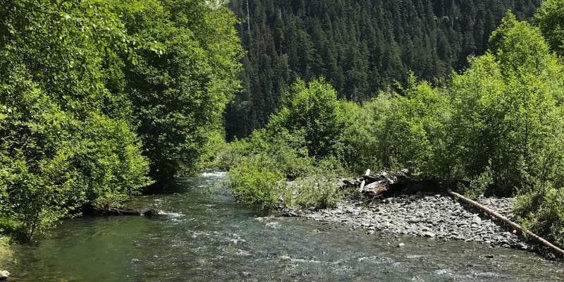 Camper submitted image from Wolf Bar — Olympic National Park