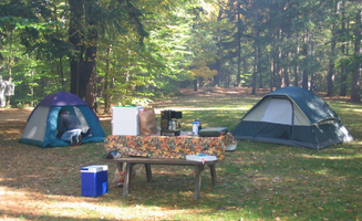 Tim K.'s photo at Granville State Forest near Tolland, MA