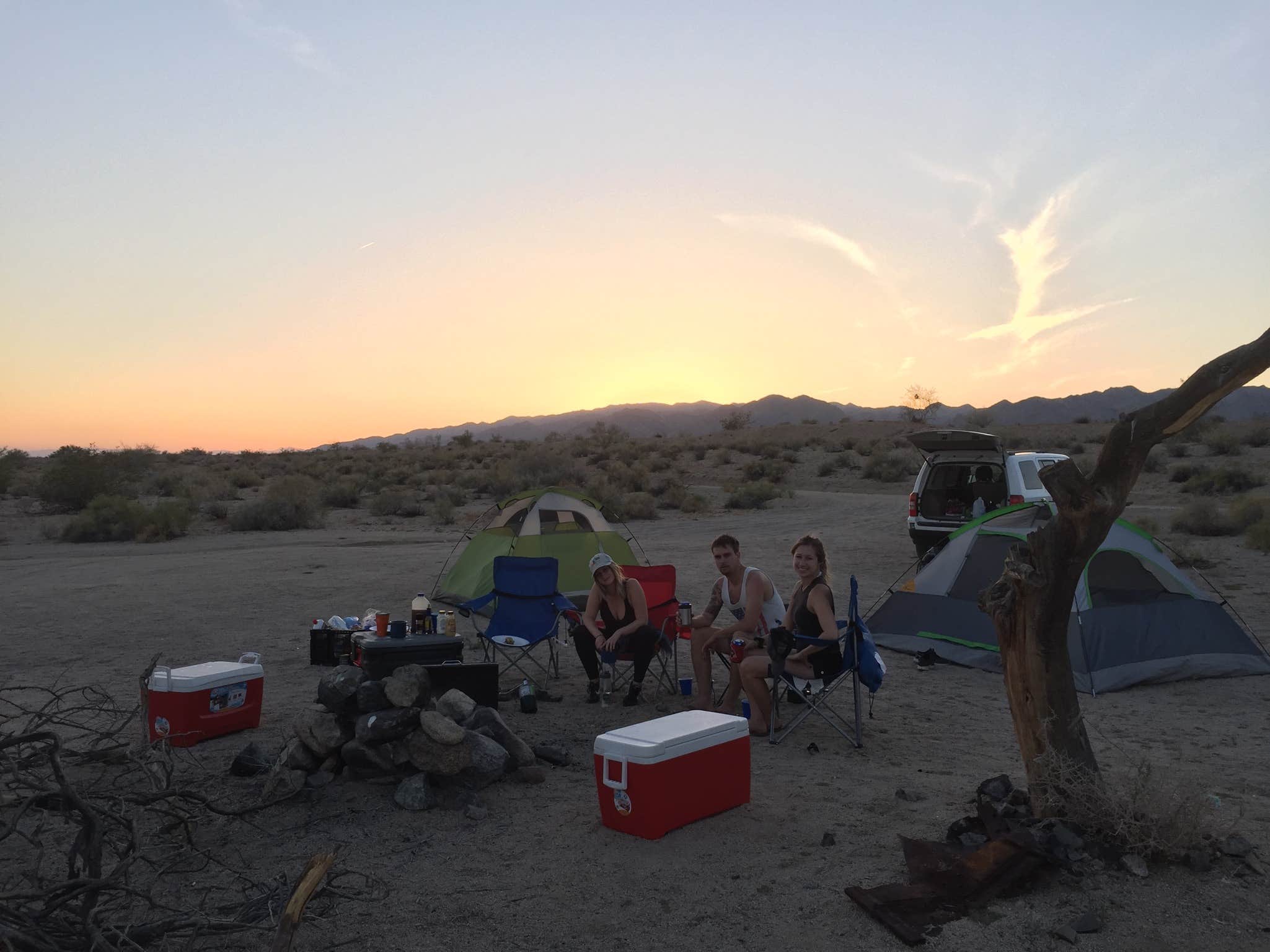 Caitlin G.'s photo at Joshua Tree South - BLM Dispersed near Coolidge Springs, CA