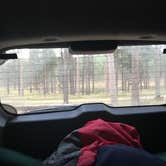 Review photo of Sheridan Lake South Shore Campground by Dan G., October 27, 2017