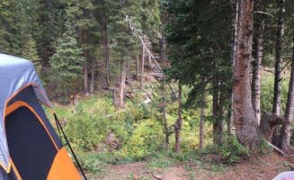 Daniel S.'s photo at Soldier Creek (Ne) Nebraska Nf — Nebraska National Forests And Grasslands near Nebraska National Forests and Grasslands