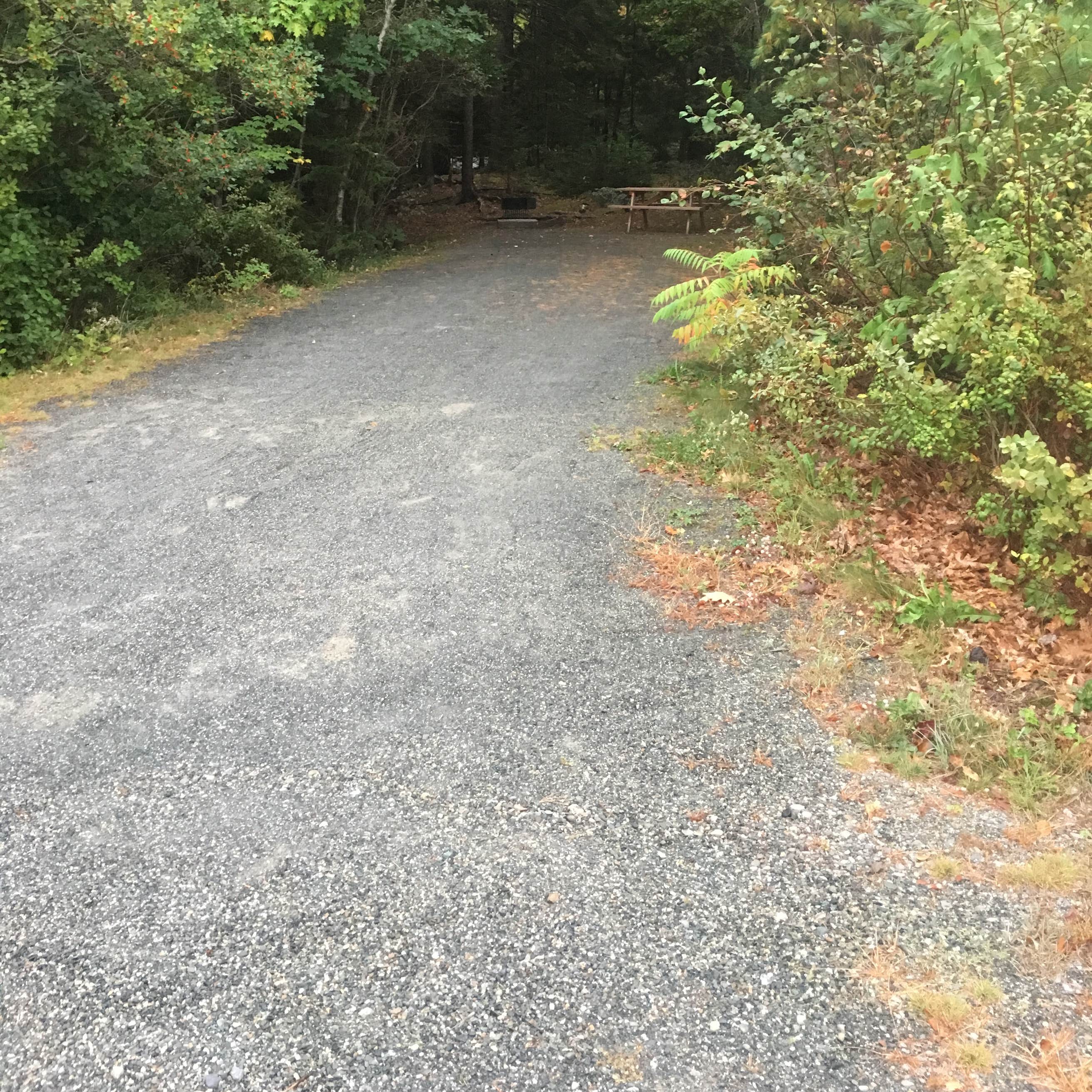 The Bar Harbor Campground Camping The Dyrt