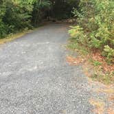 Review photo of Bar Harbor Campground by Gary G., October 28, 2017