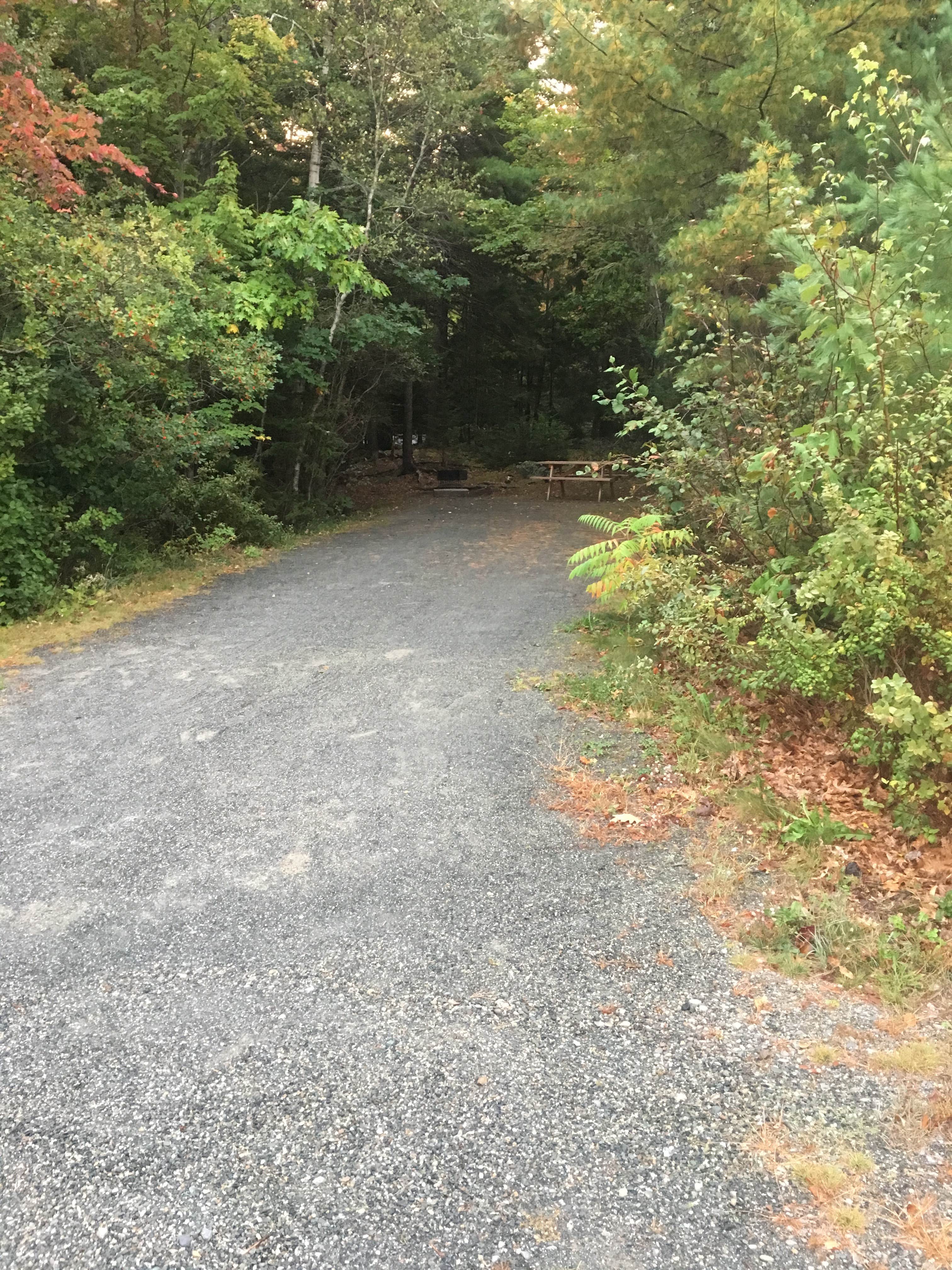 Roads