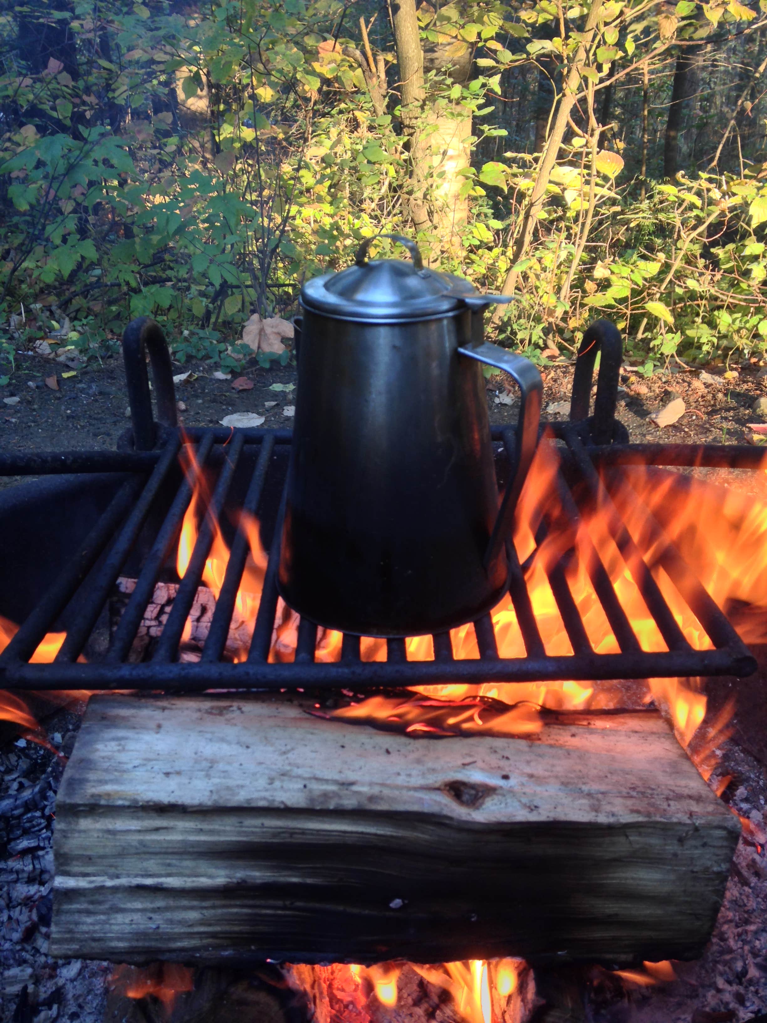 Camper submitted image from Molly Stark State Park Campground - 2