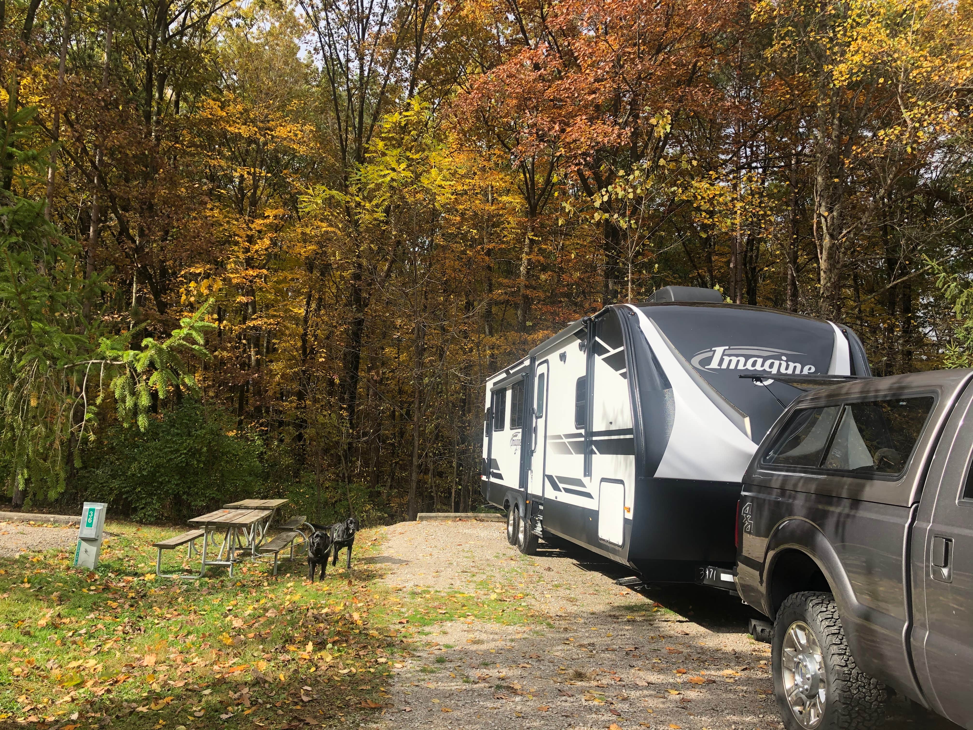 Andrea F.'s photo at Mt Gilead State Park Campground near Lewis Center, OH