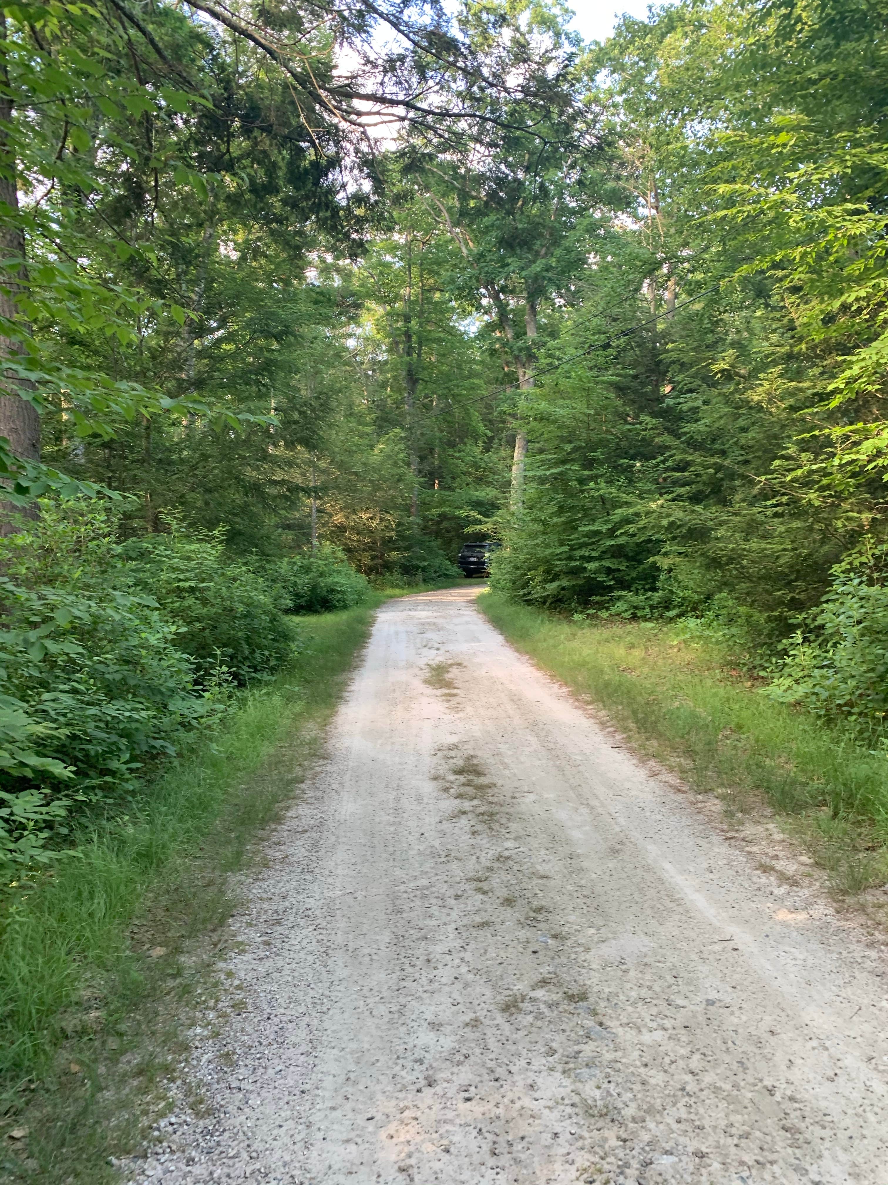 Camper-submitted photo at Bowdish Lake Camping Area near Millville, MA