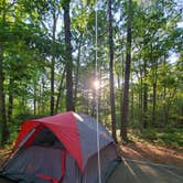 Review photo of Pocomoke River State Park Campground by Nancy N., June 20, 2020